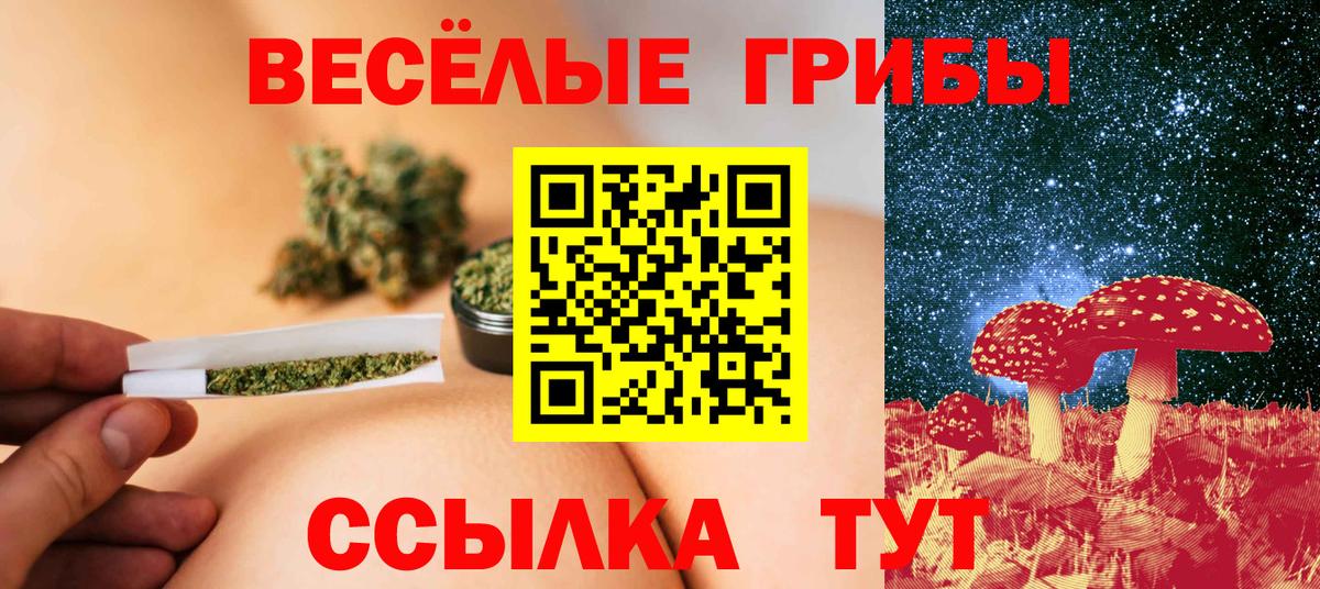 Красноярск  Галлюциногенные грибы Psilocybine cubensis  Галлюциногенные грибы прущие грибы  Вход с VPN 